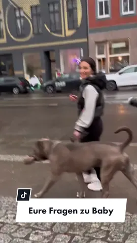 Wenn ihr weitere Fragen habt, dchaut gerne auf meinem Instagram vorbei 🤍 dort wurde die kegzten Jahre das Meiste in den Highlights beantwortet 😘 #dogsoftiktok #cherryrebelle #dogwalking #bully #fy #fürdicch #Vlog 