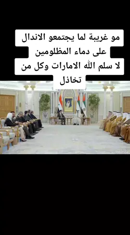 #سفاح#الامارات#بن زايد#بشارالاسد مجرم#المانيا🇩🇪 #حلب #حمص #ادلب #اللاذقية #الدير #الحسكة #دمشق 