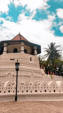 හිත නිවන තැන❤💆‍♂‍ #srilanka #kandy #travel #templeofthetooth #buddha #buddhism #travelgram #srilankatravel #tiktoktravel #travelling #hyperlapse #videography #beautiful #nature #asia #wonderofasia #templeofthetoothrelic #visitsrilanka #traveller #tiktok #trending #viral #video #fypツ #foryou #music #deep #sltiktok #CapCut 