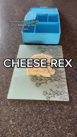 Replying to @sailormoonthecat I’ll never get why my kids love cheese sandwiches 😂 #makelunchwithme #kidslunchideas #cheeselover #bentoboxlunch #bentoideasforkids #lifewithkids #momlife #MomsofTikTok 