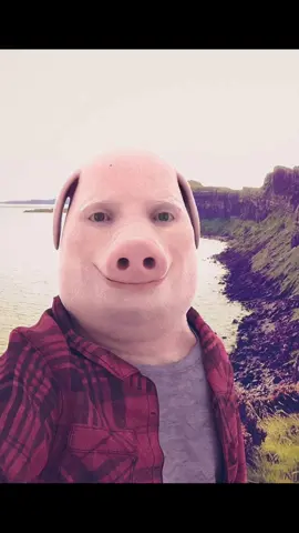 #fyp #meme #phone #foryou #johnpork