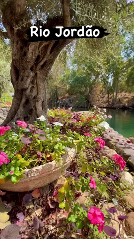 Rio Jordão, local do batismo de Jesus! #riojordao #batismo #yeshua #biblia #Jesus #reelsinstagram #reels #israel2023 #jerusalem #israel 