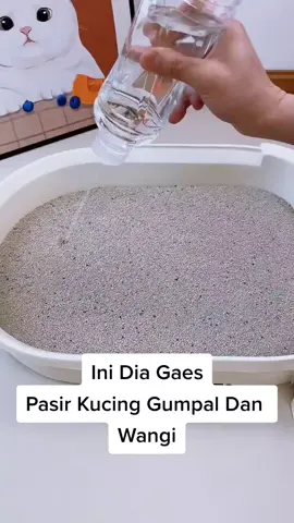 Pasir Kucing Wangi Gumpal #pasirkucing #pasirgumpal #pasirgumpalmurah #pasirgumpalforcat #fypgakni #metoosmile 