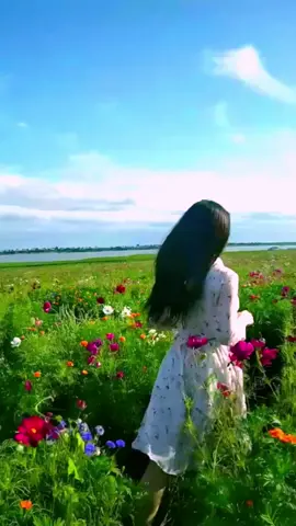 Running through the sea of flowers in beautiful dress!👗👗💐#ThisIsTheFit #GCashStories #foryou #tiktok #flowers 