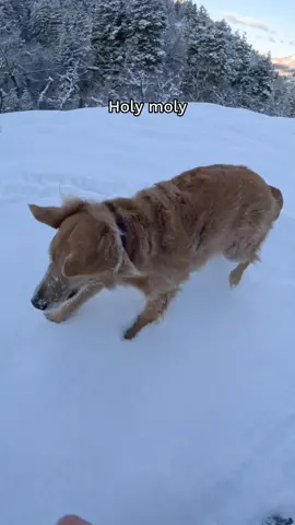 Spring in Utah looks a lot like Winter in Utah 😅
