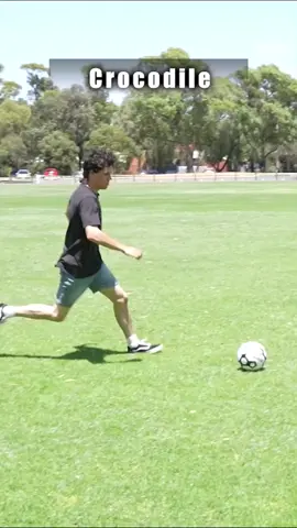 How different animals would score a goal in soccer/football part 2 😂