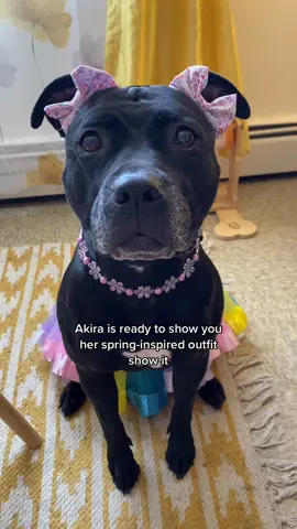 she had to speak her mind about sitting 🧍🏻‍♀️