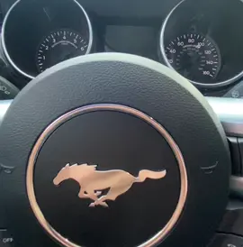POV Mustang GT Cold Start #MT #2018 #ford #roush #magnaflow #catback #exhaust #manualtransmission #mt #pov #povnelson #cheer #chill #loud #v8 #car #cars #trucks #suv #sport #gt 