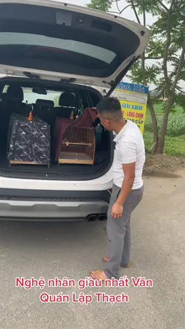 1 trong những nghệ nhân giàu thứ thiệt. Mua chim toàn cả xe oto.!#chimcanh #nhachottrend #chaomao #sinhvatcanh 