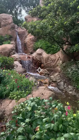 pretty parts of disney ✧ #lamp #aesthetic #lamp4life #disney #disneyworld #ichikoaoba #livelovelamp #fypシ #aquarium #lamptok #fypシ゚viral 