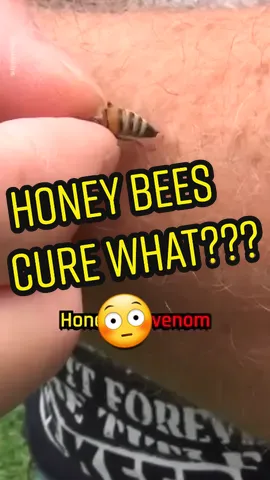 Honeybee venom kills cancer cells. #Cancer #Science #LearnOnTikTok #bees #earth #teacher #fyp #viral 