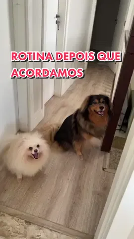 ROTINA DEPOIS QUE ACORDAMOS 💤
