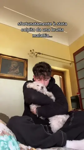 purtroppo non c’è sempre un lieto fine…💔Sull’altro s0c14l vi dico cosa ha e vi aggiorno sull’operazione.🙏🏽 ( 1G:alessandro.romanoo ) #sadstory #cane #amore #miglioreamico 