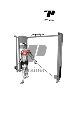 CABLE LOW FLY CHEST #bodybuilding #Fitness 
