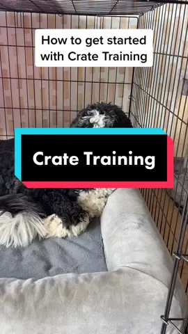 Here are some basics on getting your crate training started for your puppy or adult dog! Remember choice and building  relaxed behavior is super important so the dog will want to be in their crate! #DogTraining #forcefreedogtraining #positivereinforcement #cratetraining #puppytraining #pottytrainining #dogtrainer #snackleadernotpackleader #ilovemydog 