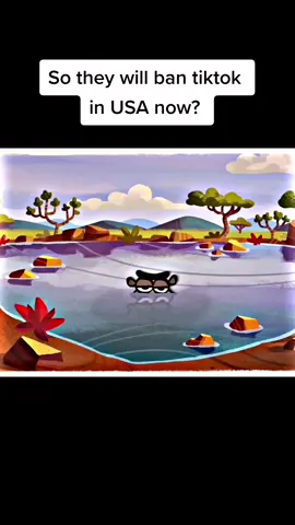 Replying to @toinou9ct i mean Half of my followers are from USA 😭😭and Cr:cas van de pol #tiktokban 