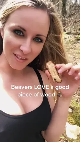 #beaverologist 