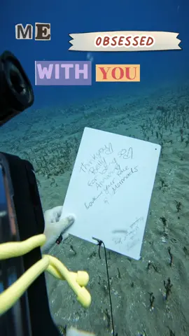 A HUGE shoutout to our followers for coming along on all the dives with us! We love being able to answer questions & talk to each and every one of you while streaming! YOU are why we do what we do! #comedivewithus #livestream #wehavethebestfollowers #obsessedwithyou #fyp #ocean #adventure #education #Love 