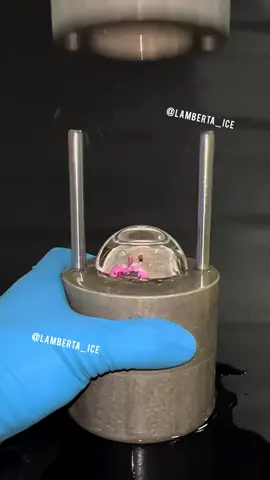 Ice sphere 🌺  #iceball #iceballmaker #icesphere #iceflower #viral #Tech #satiisfying 
