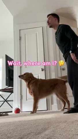 I think for a second she was convinced we could not find Nala