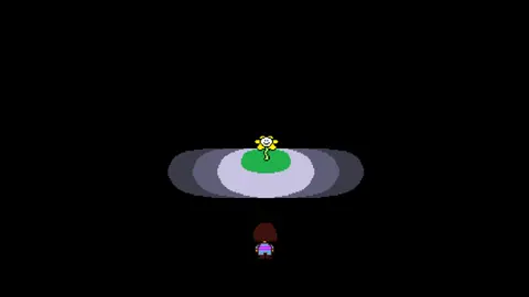 Primeiro encontro com a Flowey e a Toriel em 
