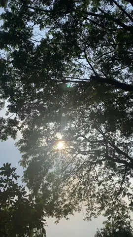 Vô tình lướt instagram, mình đọc được một câu nói cứ làm mình suy nghĩ vẫn vơ mãi: