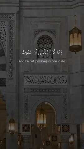 القارئ : #صالح_الانصاري  السورة : #سورة_آل_عمران  ناشر للقرآن الكريم : @Quran🤎 