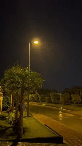 Favrt Feelings Alone, Night ,Rain ,Tea ,music 🎵❤️#alone #barish #Barishsong #weather #romantic #song #viral #fpy