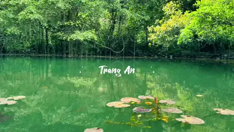 #trangan #ninhbinh #vietnam #disantrangan #unesco #trending #fyp #travel #reviewninhbinh #reviewtrangan #xuhuongtiktok 