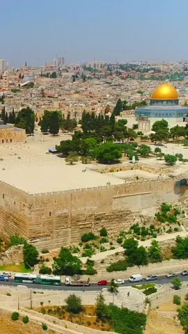 Linda Jerusalém! Vista com o Domo da Rocha! #jerusalem #domodarocha #israel2023 #viagemisrael #yeshua #biblia #Jesus #reelsinstagram #reels 