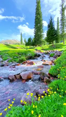 Nature's clear stream#scenery #nature #photography #beautiful #naturephotography #landscape #roadtrip 