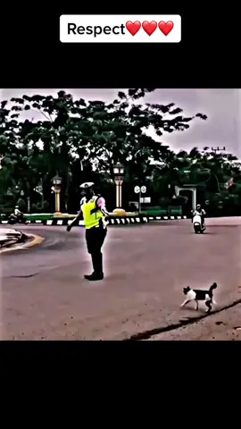 #respect #foryou #fyp 