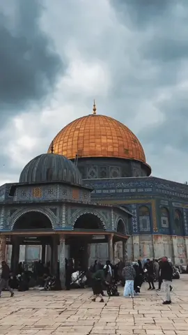 من العراق 🇮🇶 إلى أهلنا في فلسطين 🇵🇸 قلوبنا معكم دائما ً ♥️ #غالب_ال_قبلان 