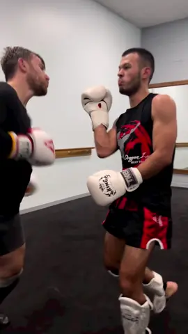 A liver shot that Bas Rutten would be proud of #martialarts #fyp #livershot 