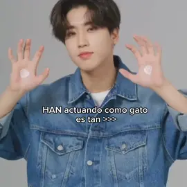 🤍#han #gato#straykids #hanjisung #yasecomosalirenparati🤫 #apoyenme #miu 