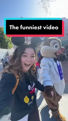 I definitely recommend visiting Chip and Dale on your next Disney trip 😂 #characters #disneylandcharacters #chipanddale #disneyland #funny 