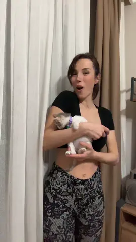 Yaramaz bir minnoş var burda 😻#fyp #foryoupage 