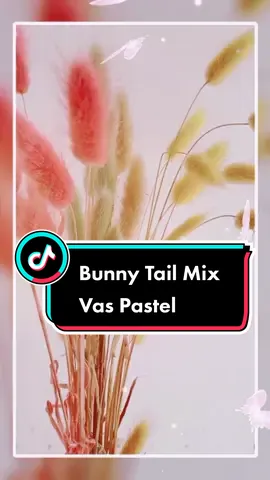 Bunny Tail mix Vas Pastel... Cantik nga Bestiee... kasi koment dong... #bunnytail  #bunny #lagurus #viraltiktok  #vaspastel #driedflowers  #bungakering #homedecorideas  #printilandecor  #merangkaibunga  #viralaesthetics 