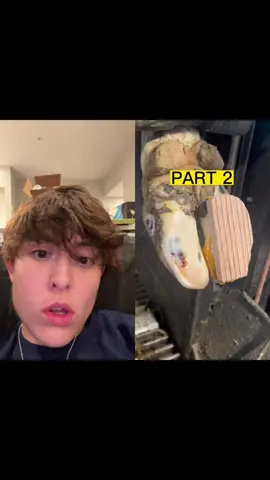 #duet with @grooter12 i am obsessed.  