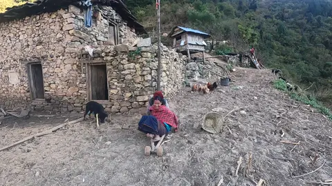 watch full movie on youtube #lajimbudha