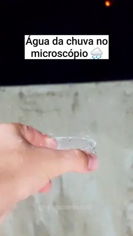 Água da chuva no microscópio 🌧 #agua #chuva #microscopio #mundomicro #microbiologia #bacteria 