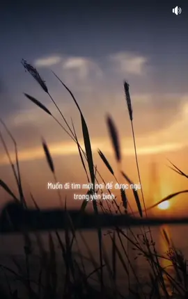 #ntt🌽 #haybuongtayem #nhachaymoingay #buon_tam_trang #nhacbuon #nhactrutinh 