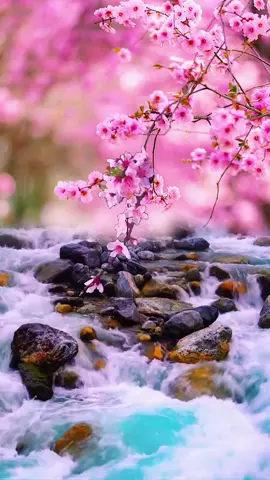 #naturebeauty #naturescenery #naturelover #niceview #relaxing #satisfying #stunning #spectacular #stunninglook #landscape #amazingview #stunning #fantasy #videobackground #livewallpaper #foryou #fypviral #trending #fyptiktokpage #goviraltiktok 