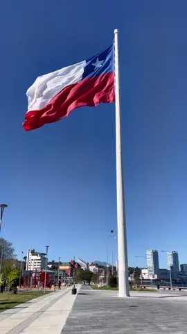 #banderachilena #patria #chile🇨🇱 #puertomontt🇨🇱 #costanerapuertomontt🇨🇱 #decimaregiondeloslagos 