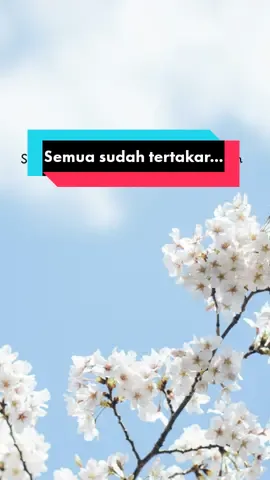 Semua sudah tertakar dan tidak pernah tertukar... #perjalananhidup #harapanku #janganpatah #jodoh #jodohpastibertemu #quoteoftheday #motivasi #fypシ #quotesindonesia #katabijak #bismillahfyp #gabutbrutal #pengingatdiri #fypシ゚viral 