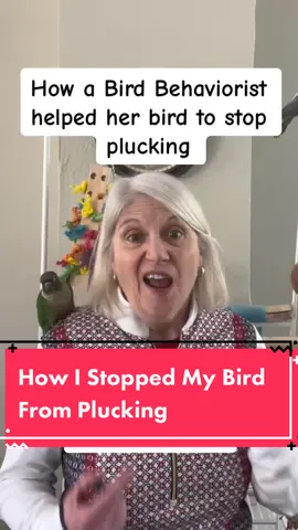 Sometimes parrots turn to self-destructive habits like plucking out their feathers due to boredom or stress. One of my feathered friends had this problem, so I knew I had to do something! I implemented something called a Time Study that helped me discover what was causing the problem, and how to fix the problem. #plucking #featherplucking   #birdtok #birdvet #birdhealth #parrothealth #birdlover #birdsoftiktok #birdlover #bird #parrot #parrotlover #parrot #parrottok🦜 #parrotsoftiktok #parrots #parrotstiktok #parrotsworld #parrotslove #parrotslife #parrotlover #birdbehaviorist #avian #pet #petowner #birdowner #parrotowner