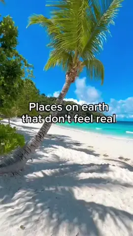 Most Beautiful Places on Earth 🤩✨  #fy #foryou #adventure #travellife #discover #bioluminescence  🎥: @racheeymarytravels @hayley_travel @cami.montejo/@ patrickc_la
