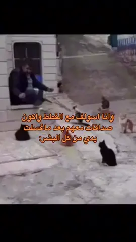 يزينهممم بعد + القطط>> #لعد_تأذون_القطط #قطط #قط #قطاوه #بسات #بسس #احسن_منكم_كلكم #حلاوة_اللقاء #القطو_طلع_كيت #بس_مزعج #اكيد_عشان_قطوتي_مزه #حبيته #يحلوه_مهووس_بقطوتي #بسبوس #انقذو_بيس_من_بسبوس #بسبوس_سايكو #اطلق_سايكو #بسبوس > #اي_سايكو_في_بالك 