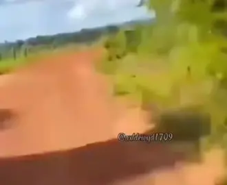 #viral #moto   “Urubua”