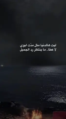 ليت هالدنيا
